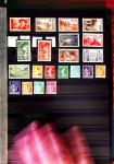 1849-2013, Collection de France en 13 classeurs neufs