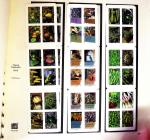 1849-2013, Collection de France en 13 classeurs neufs