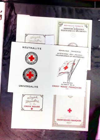 1917-1997, Lot de France en 13 classeurs neuf et oblitéré,