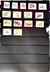 THEMATIQUE : Jolie collection de timbres et blocs neufs,