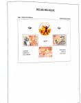 1849-2020, Extensive collection of Belgium in 11 Davo