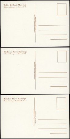 9 cartes postales sur MARIE Marvingt + 6 CP modernes et 1 EMA moderne. TB