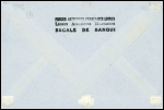 N°165, 166 et PA29 sur lettre CàD Brazzaville 1 août