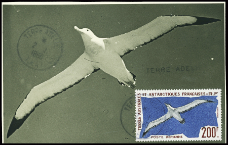 TAAF PA n°4, 200F albatros obl Terre Adélie (2.1.1960) sur carte maximum. Rare 