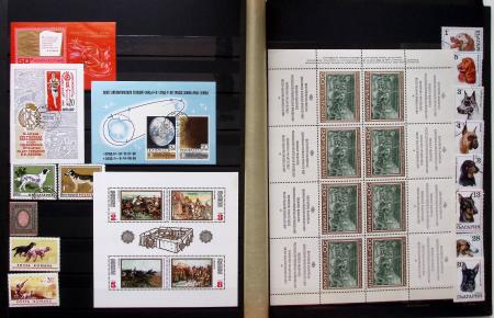 1900-1990, Lot de France avec N°121 variété centre