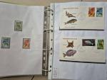 1962-2013, Neat all-world collection in 28 stockbooks or albums