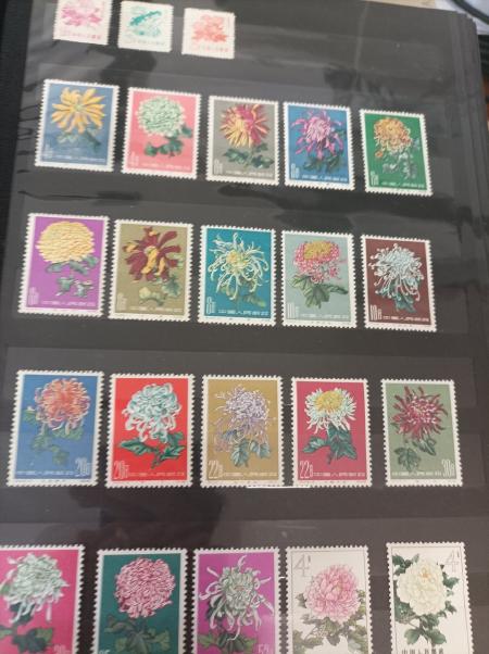 1919-2015 Extensive thematics collection of Flora housed