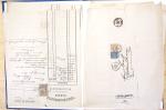 1849-1987, Lot de France et monde entier, neufs et