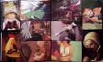 1905-1980, Un grand album pour CPA, contenant une collection
