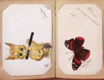CPA: 2 classeurs de CPA fantaisie et illustrateurs,