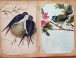 CPA: 2 classeurs de CPA fantaisie et illustrateurs,