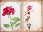 CPA: 2 classeurs de CPA fantaisie et illustrateurs,