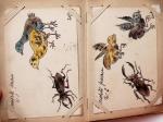 CPA: 2 classeurs de CPA fantaisie et illustrateurs,