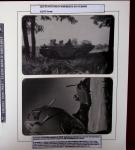 1939-1945, Collection thématique sur la 2émé Guerre