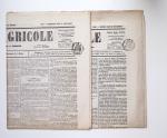 1841-1942, Plan ancien Bordeaux (AN 13), brevet d'imprimeur