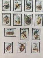 THEMATIQUE OISEAUX, Collection en 10 albums faits maison