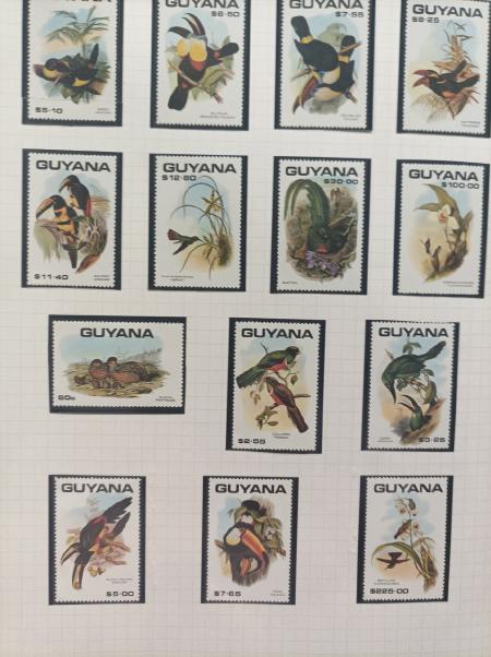 THEMATIQUE OISEAUX, Collection en 10 albums faits maison