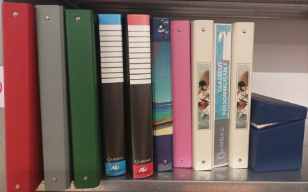 THEMATIQUE OISEAUX, Collection en 10 albums faits maison