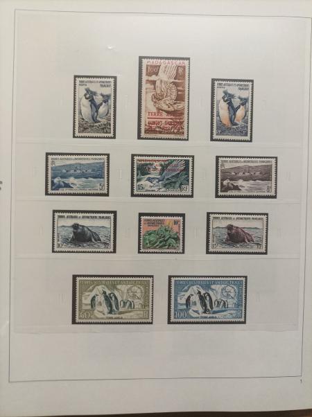 1948-2025, Collection des TAAF en 5 albums Safe, neuf,