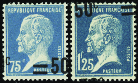 N°219 et 222 2 valeurs surcharge à cheval neuf **