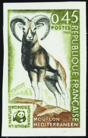 N°1613 Mouflon neuf ** TB