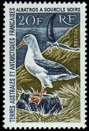 N°24 20f Albatros neufs * TB