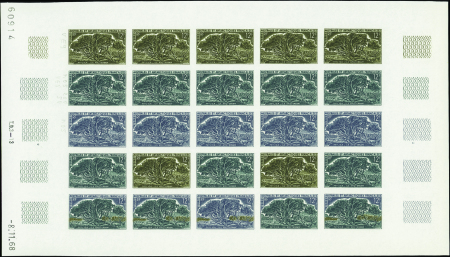 N°29 12f Phylica feuille de 25 essais de couleur n