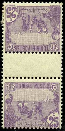 N°72a tête-bêche avec intervalle (1ex*) neufs ** T