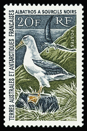 N°24 20f Albatros à sourcils noirs, neuf **, TB