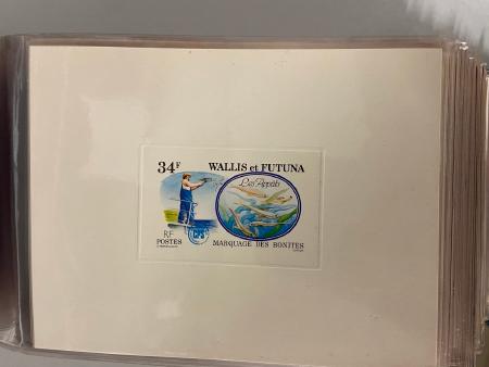 1950-1990 362 épreuves de luxe des anciennes colonies