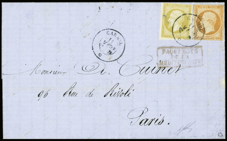 Càd CARMEL * (variété dateur échoppé) 11 mars (58)