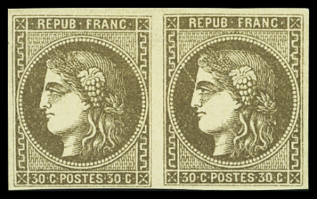 N°47 variété ligne blanche traversant le visage tenant