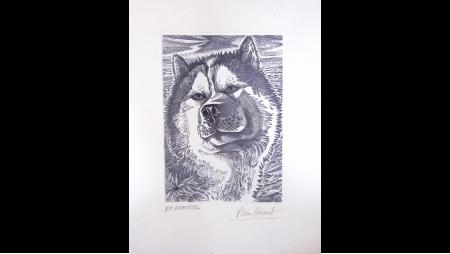 1980-2007, Lot de plusieurs gravures, avec 4 dessins/esquisse