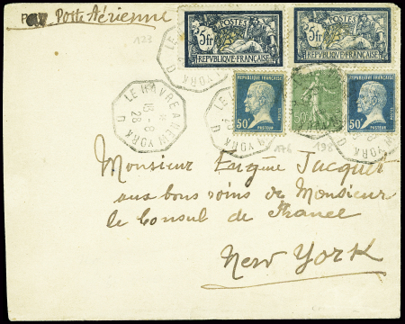 N°123, 2 pièces + n°176, 2 pièces + 198 obl octogonal "Le Havre à New York D" (13.8.1928). Lettre fausse de toutes pièces pour documentation