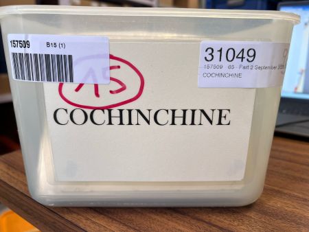 COCHINCHINE environ 370 lettres 1900-1950, affranchissements