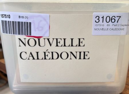 NOUVELLE CALEDONIE environ 330 lettres 1910-2000, affranchissements