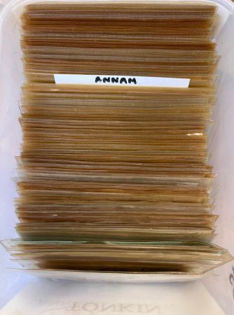 ANNAM ET TONKIN environ 380 lettres période 1900-1950,