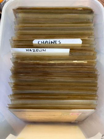 FRANCE : environ 350 lettres avec affranchissements