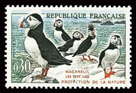 N°1274b variété houppe sur la tête, neuf **, TB
