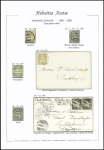 1881 FASERPAPIER-Ausgabe : Spezializierte Zusammenstellung