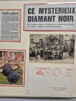 1905-1950env., Collection d'exposition en cinq albums