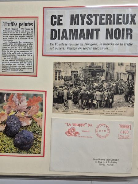 1905-1950env., Collection d'exposition en cinq albums