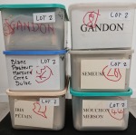 1900-50env. Environ 1750 plis contenus dans 6 boites en plastique