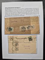 1923 INFLATION Period, Exhibition collection displaying