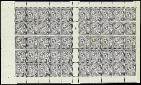 N°46 5f. violet, PANNEAU de 50 Mill.0, pte rouss. 