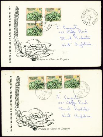 2 env illustrées AFF TAAF n°11, 10F chou des Kergu