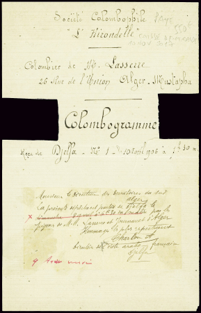 Pigeongramme de Djelfa pour Alger (10 avril 1906).