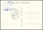 N°494 obl CAD "Exposition antibolchevique Lyon" (2