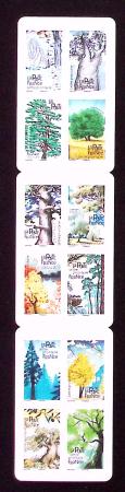Autoadhésifs BC1605 : Arbres, la bande carnet NON 