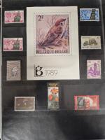 1989-2010, Collection de BELGIQUE en 3 classeurs, neuf,